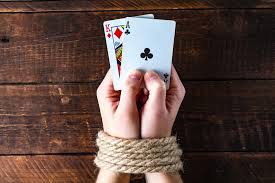Вход на официальный сайт Casino Calibry